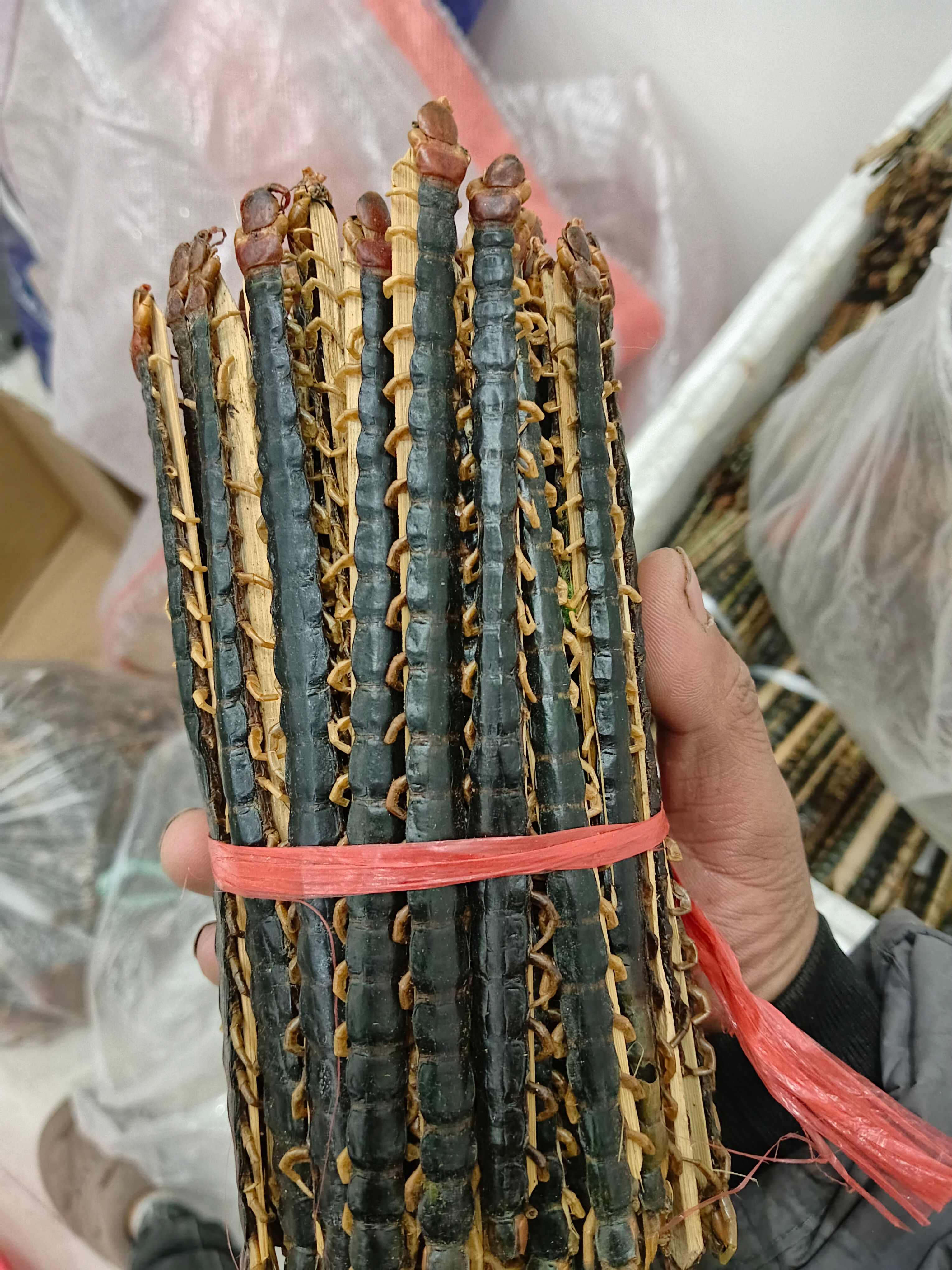干品红头蜈蚣，各种规格都有现货