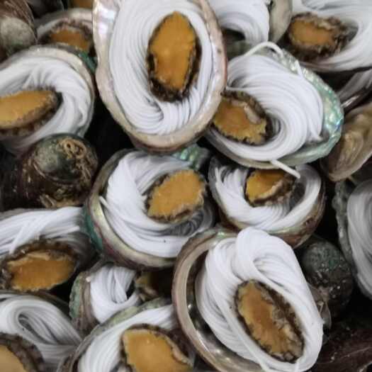 重庆市粉丝鲍鱼