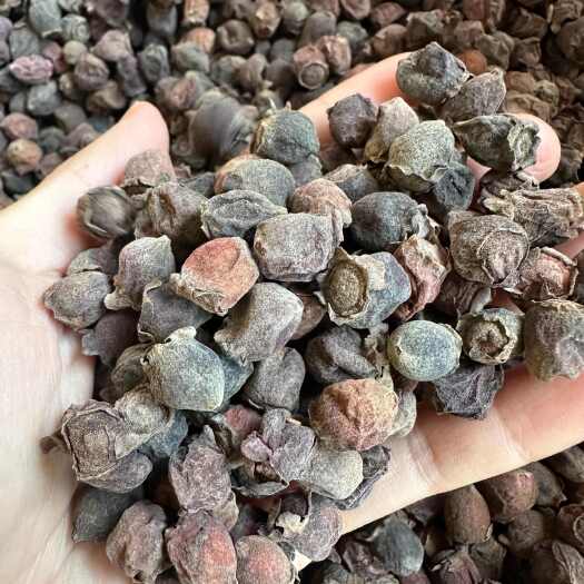 梧州三蒸三曬捻子干