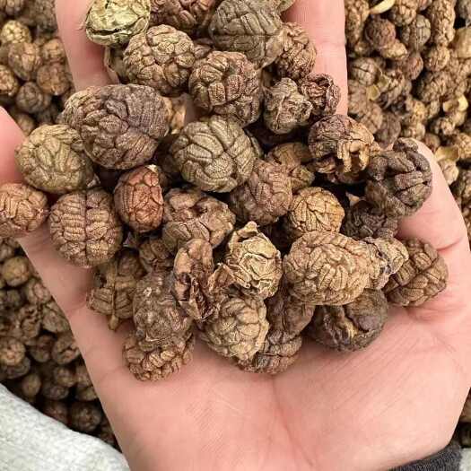 玉林草寇
