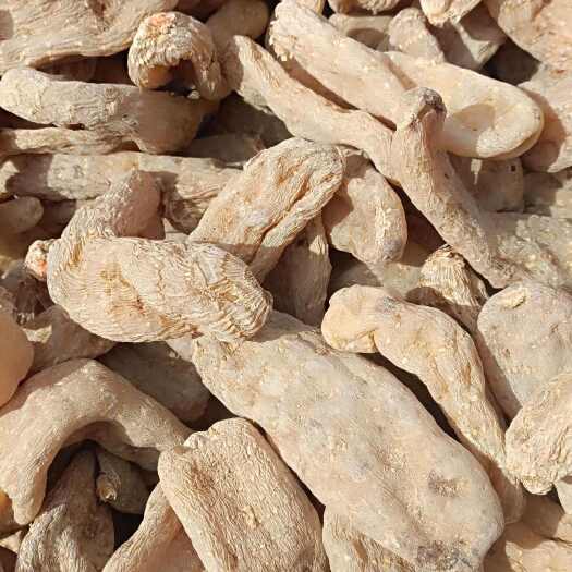 丹凤县陕西商洛丹凤县红天麻 滋补中药材 实惠装