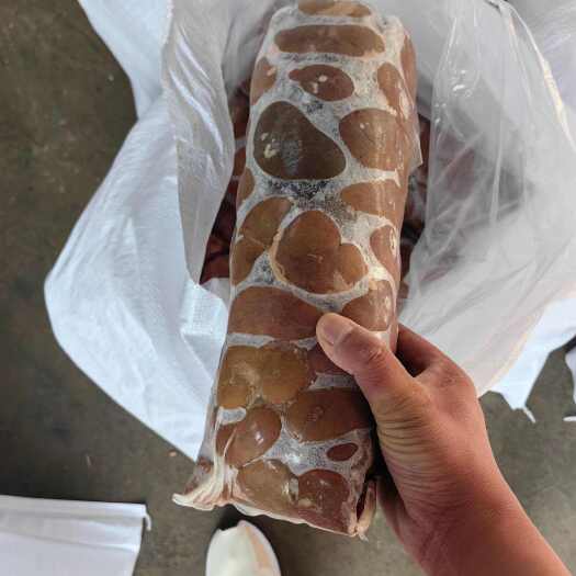 羊净腰 一手货源 品质保障 量大优惠