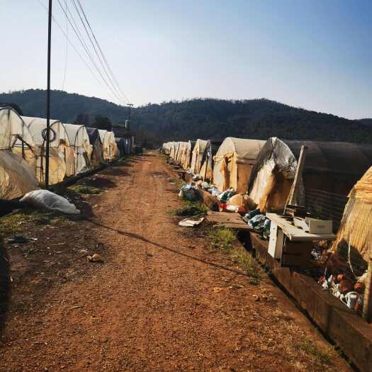 昆明120亩大掤，设施设备完善有仓库住房，距离昆明主城区45分钟