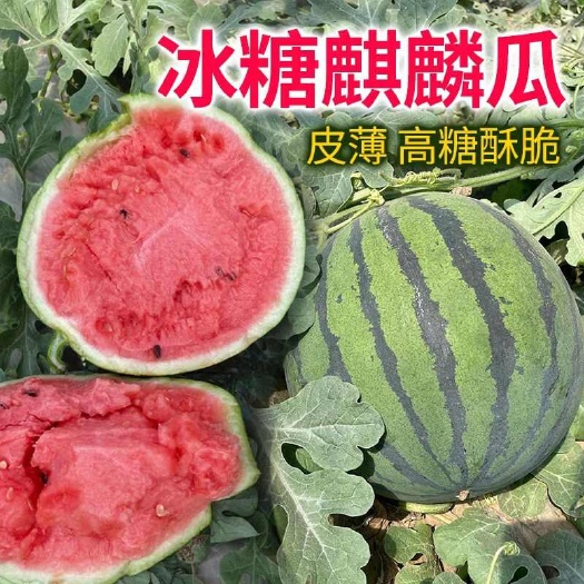 宜城市产地大量供应美都麒麟瓜美都8424皮薄肉厚口感脆甜多汁货源足