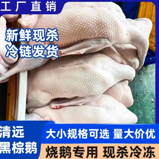 佛山广东清远脆皮黑棕鹅新鲜现杀商用酒楼烧腊产地直供超值爆款