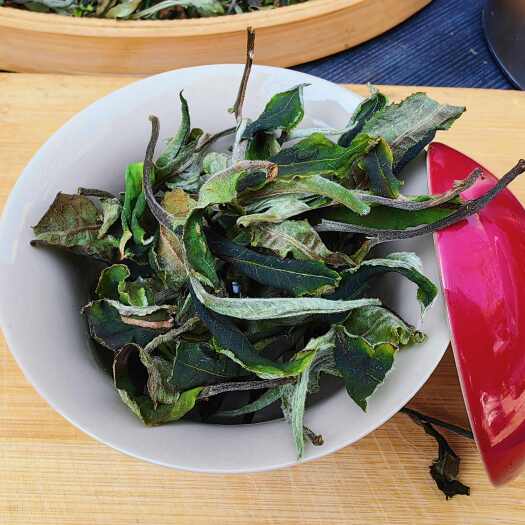 普洱白茶
