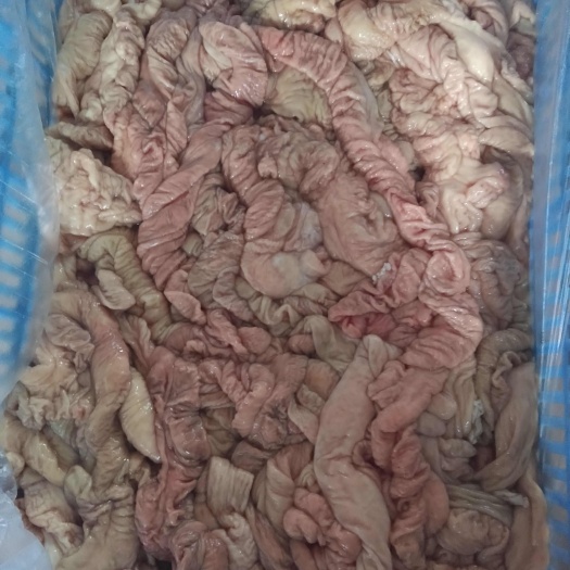 韶关冻品
