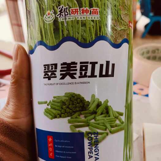 中早熟翠绿条长豆角种子翠美豇山肉质厚嫩荚条长不鼓粒采收期长