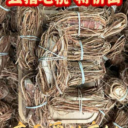 玉林五指毛桃  小扎