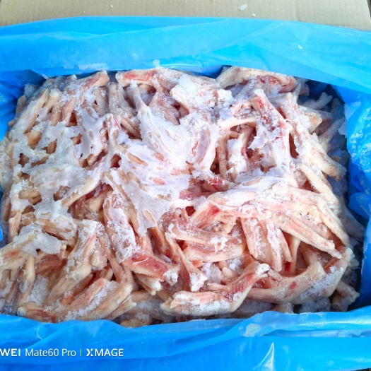 深圳俄罗斯061鸭脚，纯干10kg，310到320