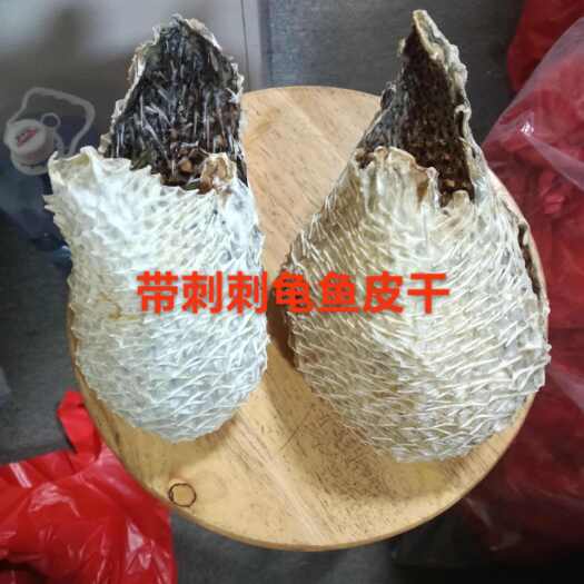 北海天然带刺龟鱼皮拔刺龟鱼皮拔刺盐爆过龟鱼皮干货
