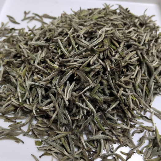 福鼎白茶，白毫银针