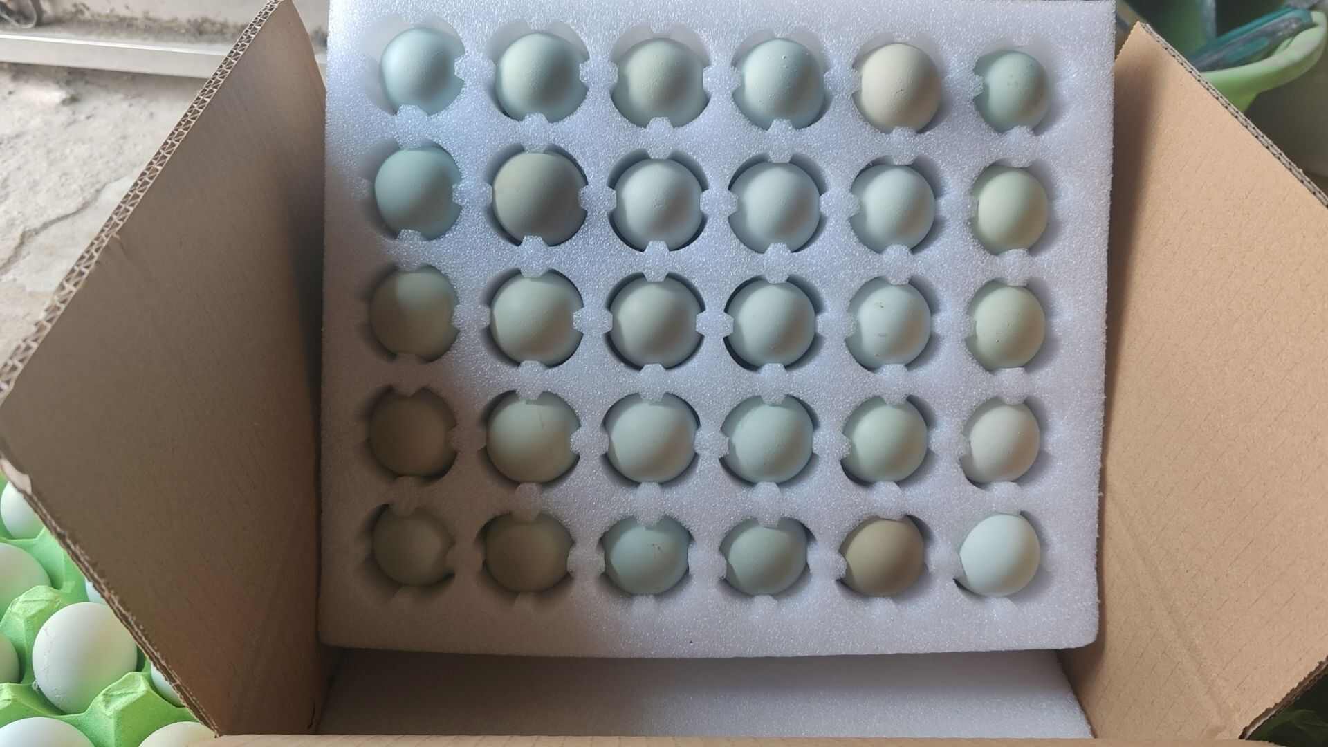 新鲜优质精品绿壳蛋
