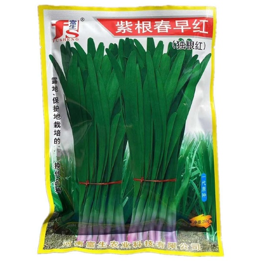 紫根春早红富生韭菜种子250克 耐寒扶沟富久独根红紫根韭菜种