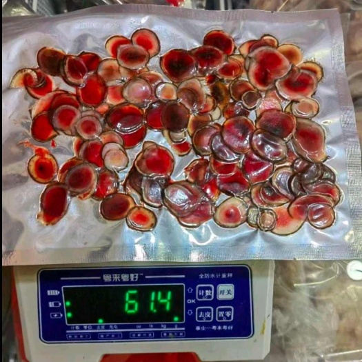 腊片，鹿场批发