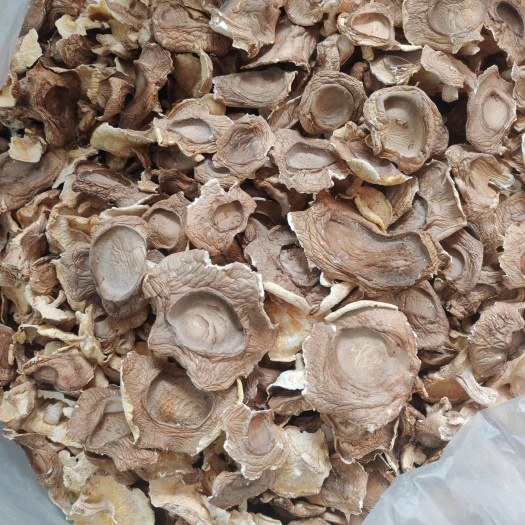 香菇 防野生香菇  产地直供