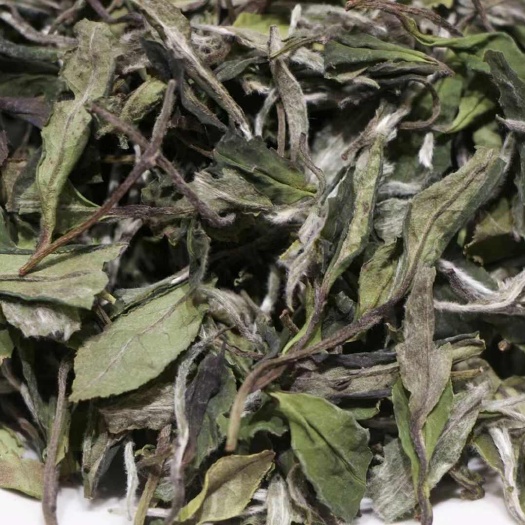 福鼎市福鼎白茶，二级白牡丹