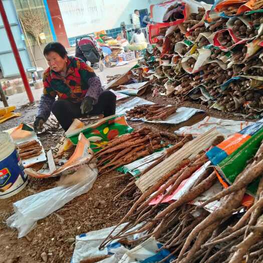 温县河南温县垆土铁棍山药，郑重承诺假一赔十