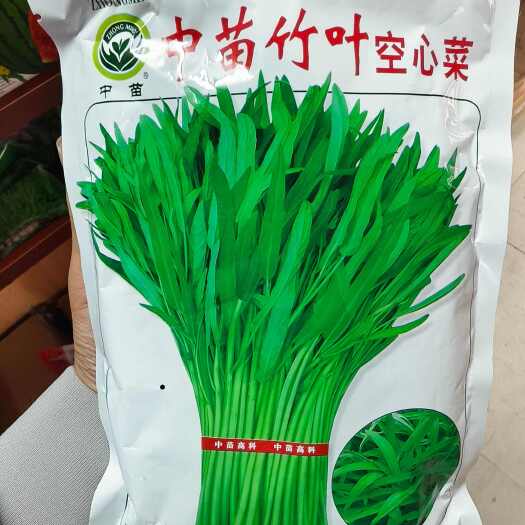 泰国竹叶空心菜种子，味美，生长速度快，可多次采摘。