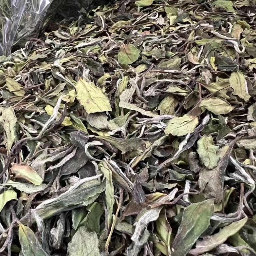 福鼎市福鼎白茶寿眉