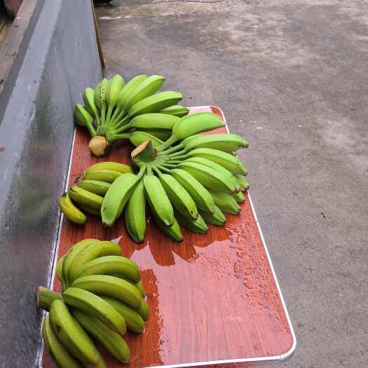 汕头香蕉