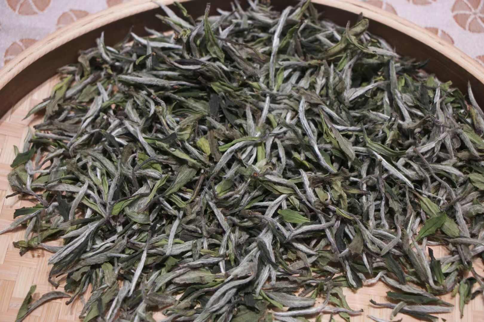 福鼎白茶，白牡丹