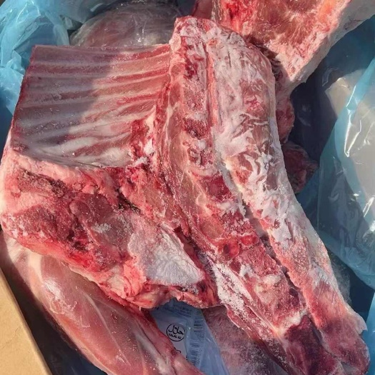 河间市新西兰118厂羔羊前四分体瘦版