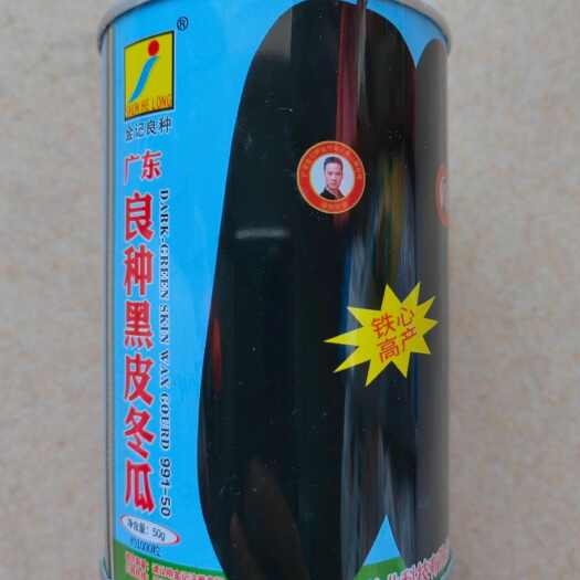济南广东金记一号黑皮大冬瓜种子春季爬地王抗病高产黑皮冬瓜种子