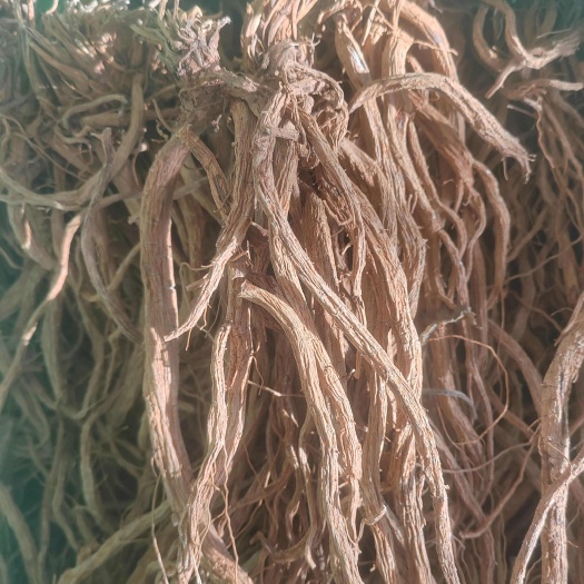 峨山县中药材续断根茎（干货） 云南玉溪峨山产地直发 品质优