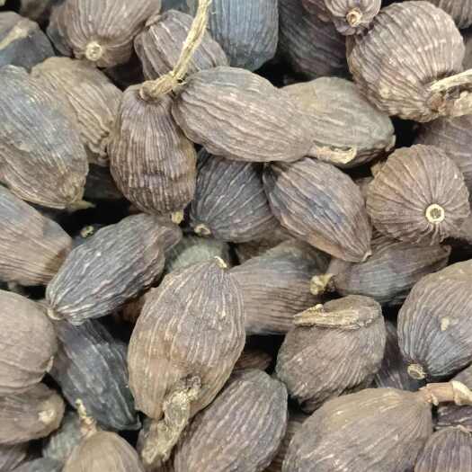 昆明草果