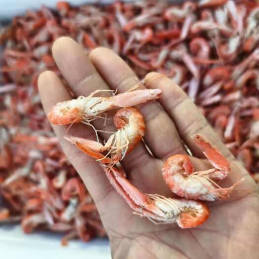 滨州爪虾，跑江湖摆摊，油炸专用