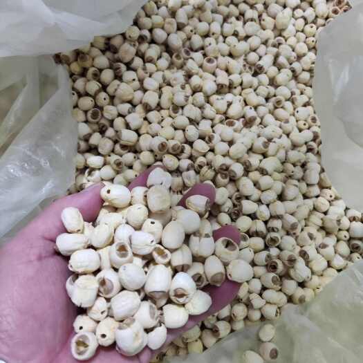 广昌县广昌通芯白莲，抚河源产，手工制作，烘干，口感香糯，营养丰富。