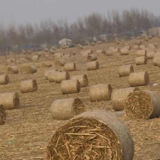 洮南市白城地区玉米秸秆大圆包
