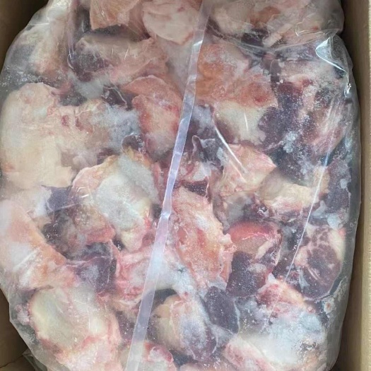 临沂牛窝骨