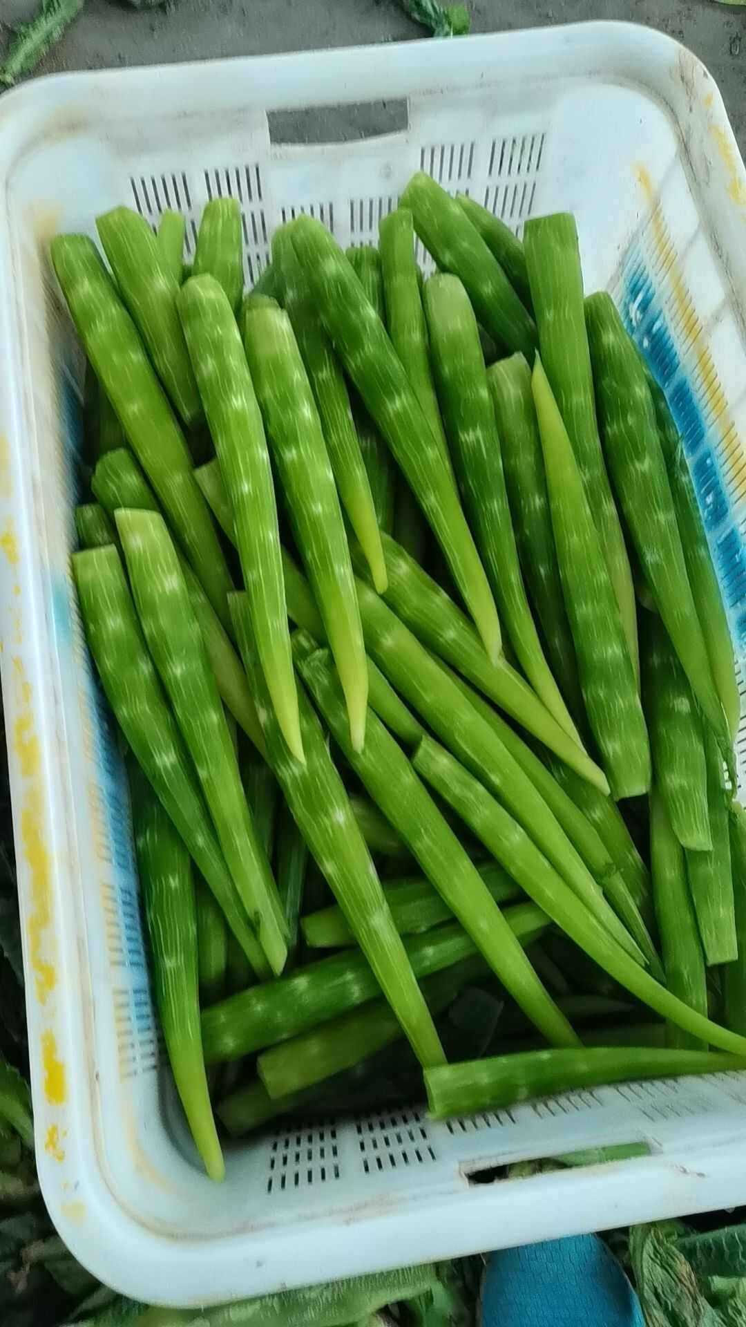 红叶莴笋肉