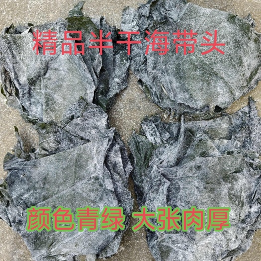 精品盐渍半干海带头 青绿肉厚地摊赶集展销商饮爆款产品