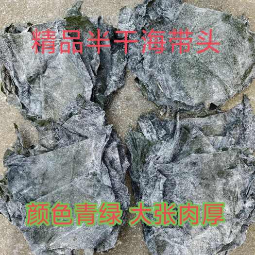 泸州精品盐渍半干海带头 青绿肉厚地摊赶集展销商饮爆款产品