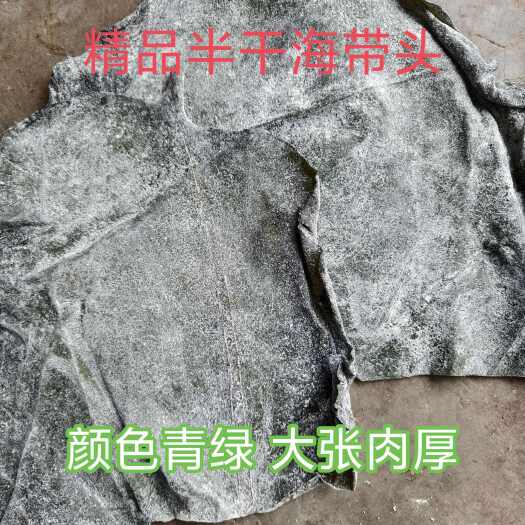 泸州精品半干盐泽海带头 肉厚颜色青绿