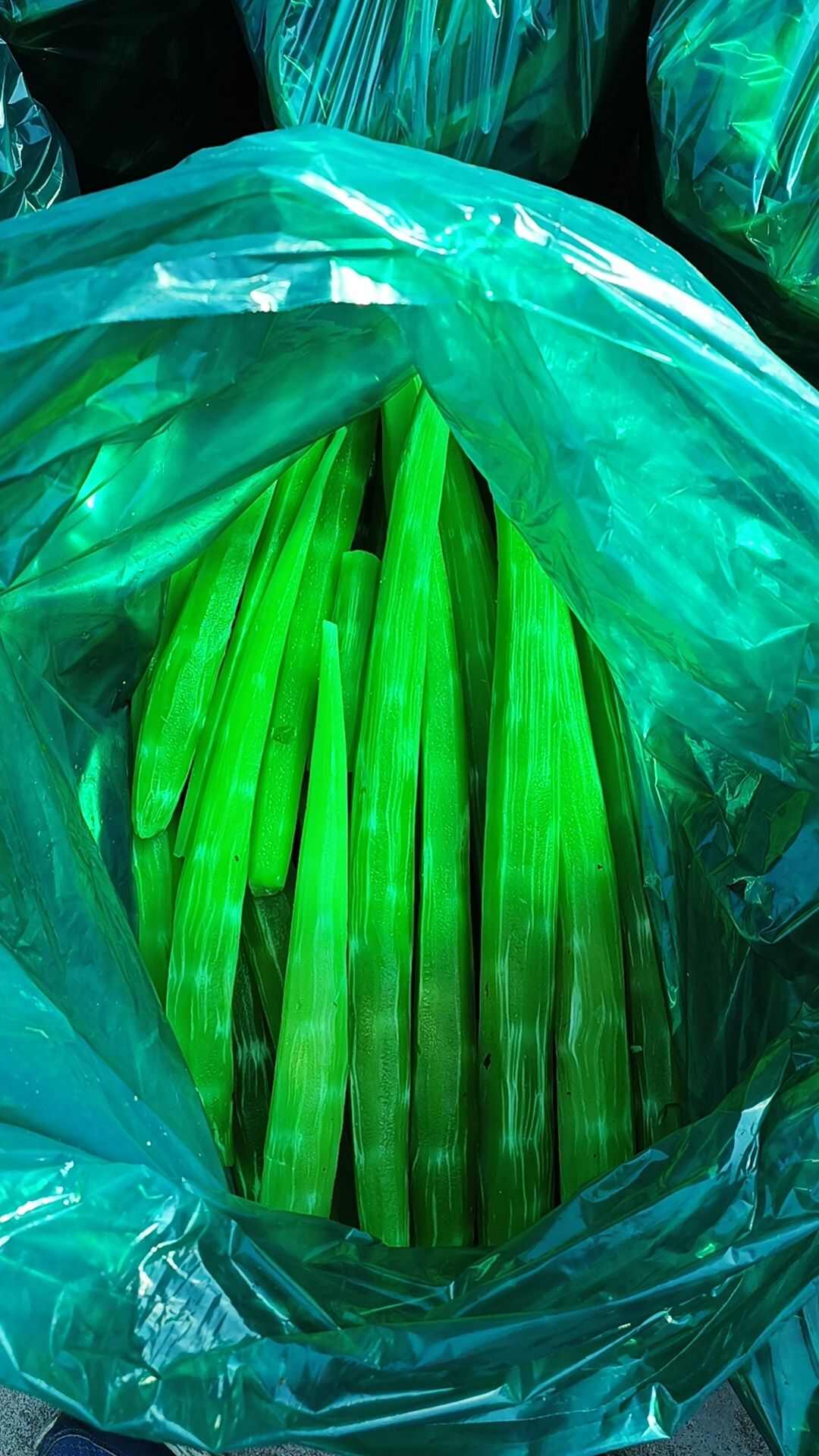 红叶莴笋肉