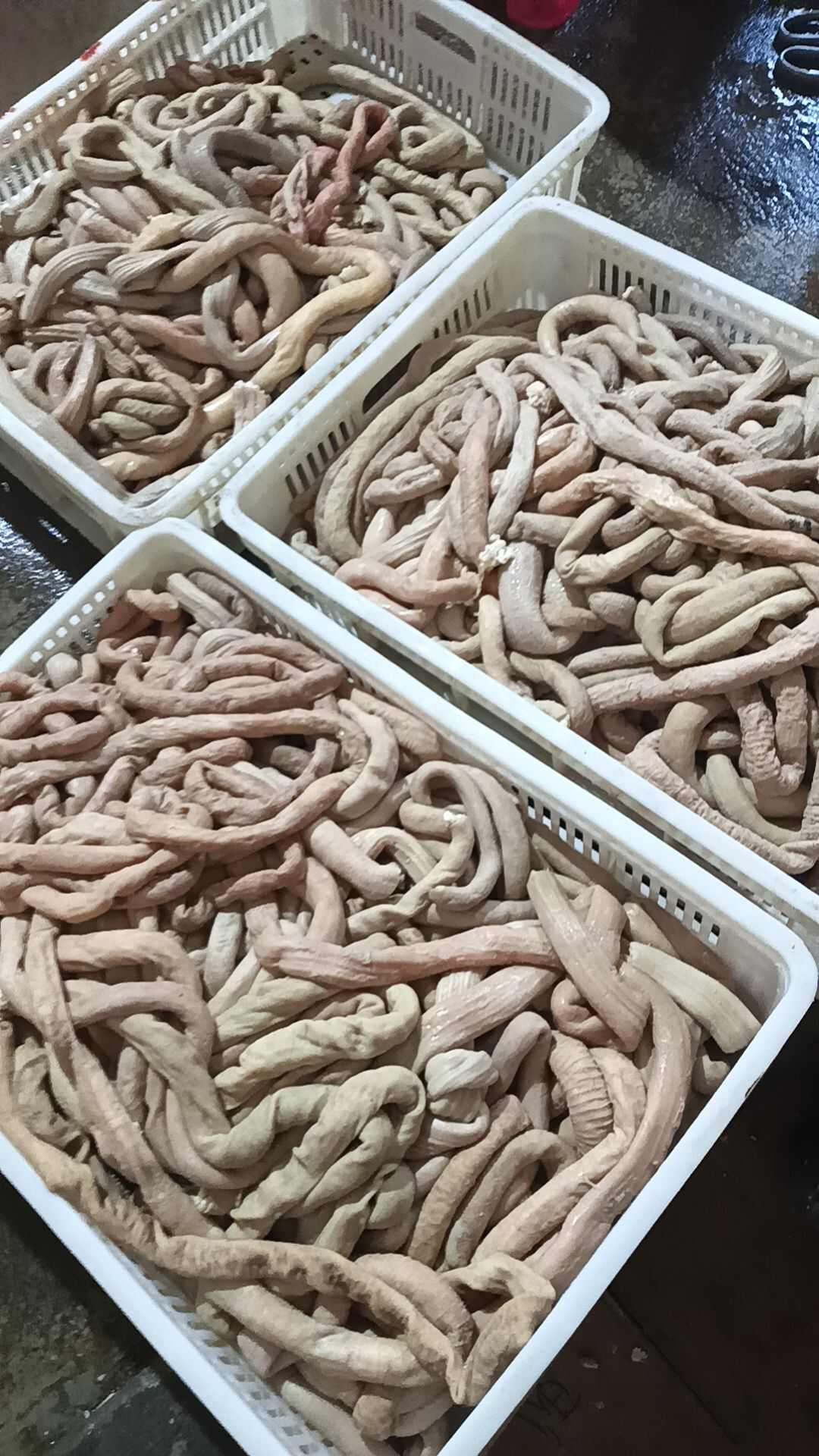牛小肠，厂家直销，全程冷链物流发货