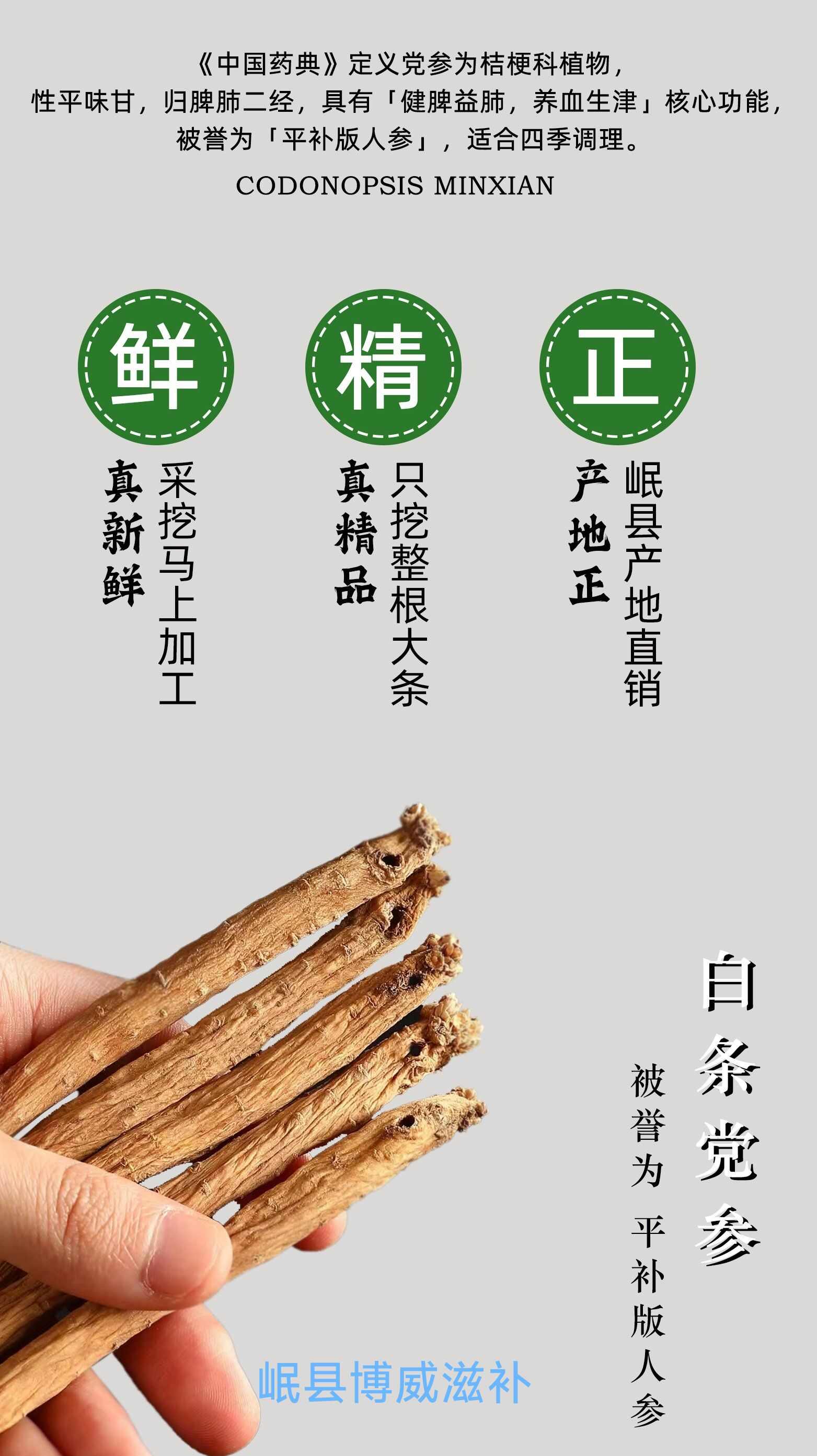 甘肃岷县白条党参，原产地，岷县原产地发货