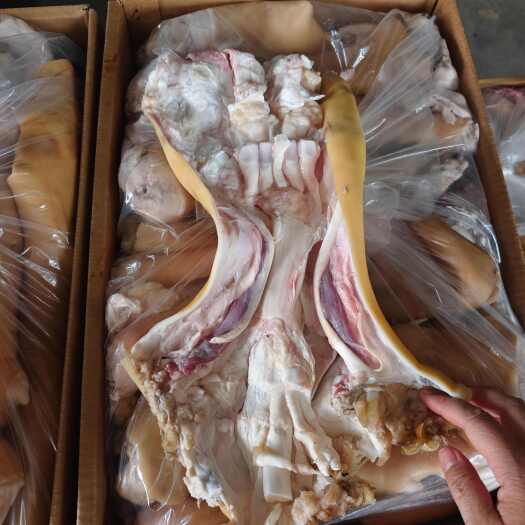 阳信县新鲜国产去骨生牛蹄，满满的胶原蛋白，一手货源厂家直销