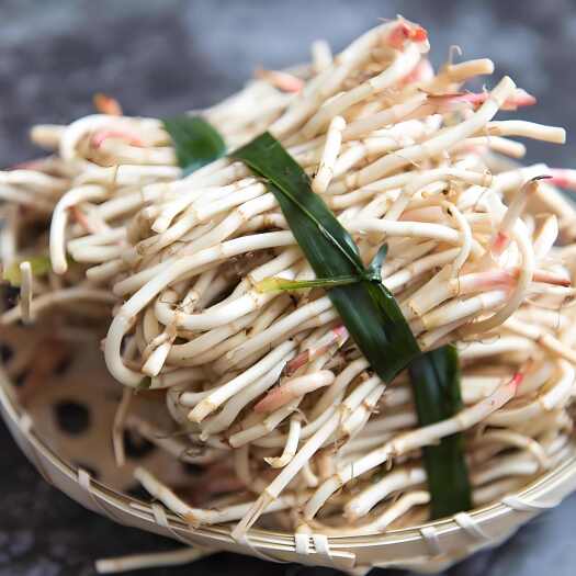 纯野生鱼腥草、折耳根