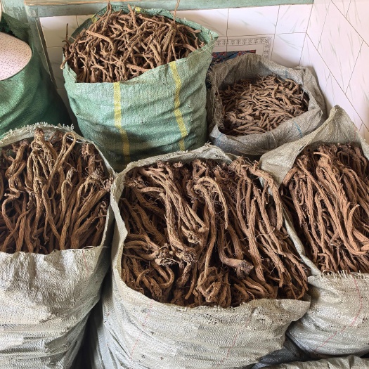 祥云县续断统货 优质品质 干度好