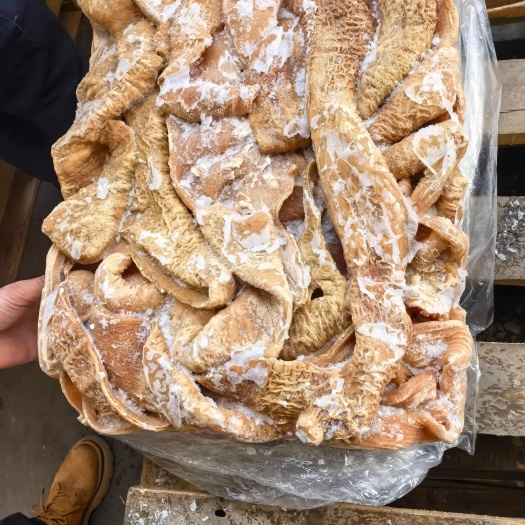 牛肠精修去油纯干熟大肠大小肠都有开边去油全过冷链批发