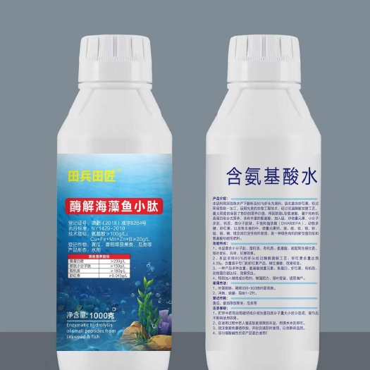酶解海藻鱼小肽（鱼蛋白）