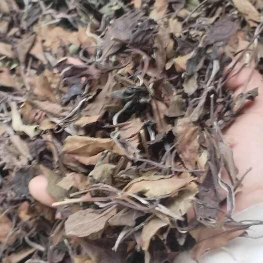 霞浦县白茶纯日晒寿眉