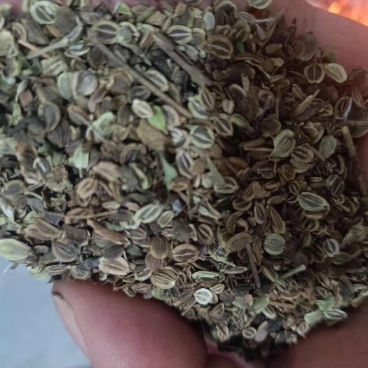 剑河县自己种剩下的前胡