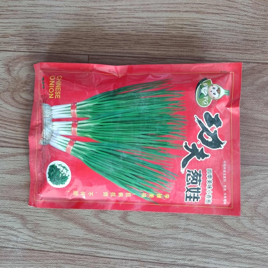 外运小香葱种子