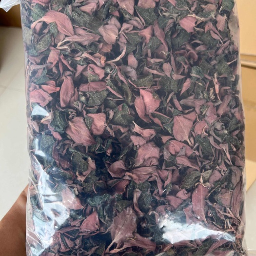 金线莲整株干品，产地直销各规格货源充实